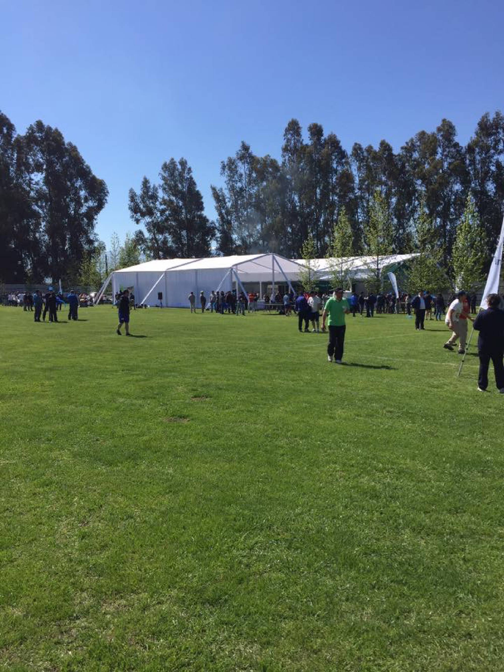 Frusan_Olipiadas 2017_8