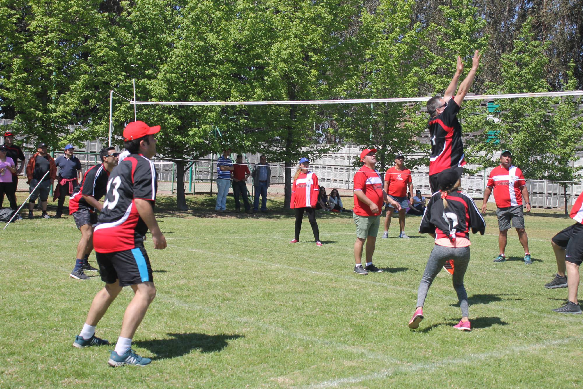 Frusan_Olipiadas 2018_8