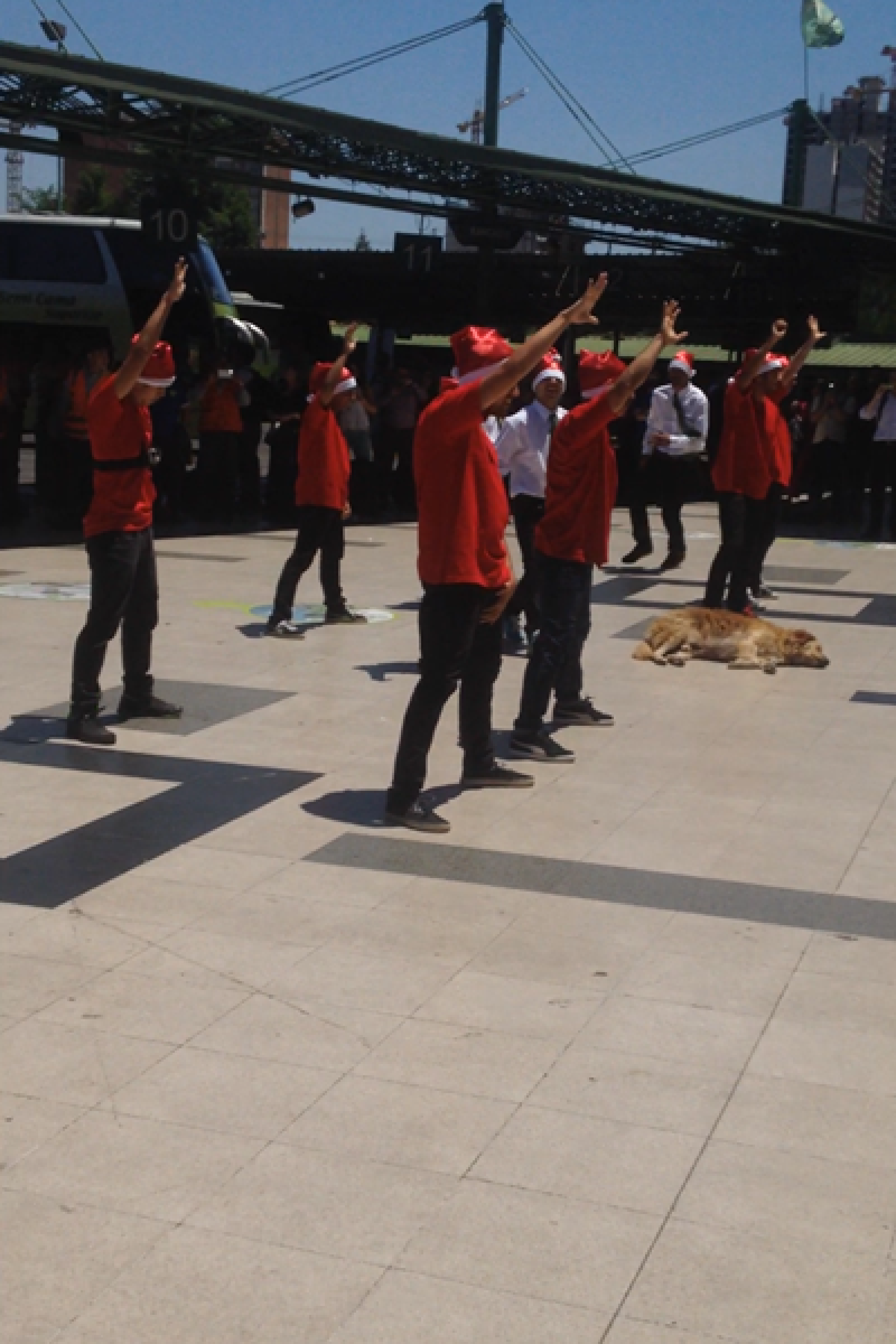 Turbus_Flashmob “Navidad”_6