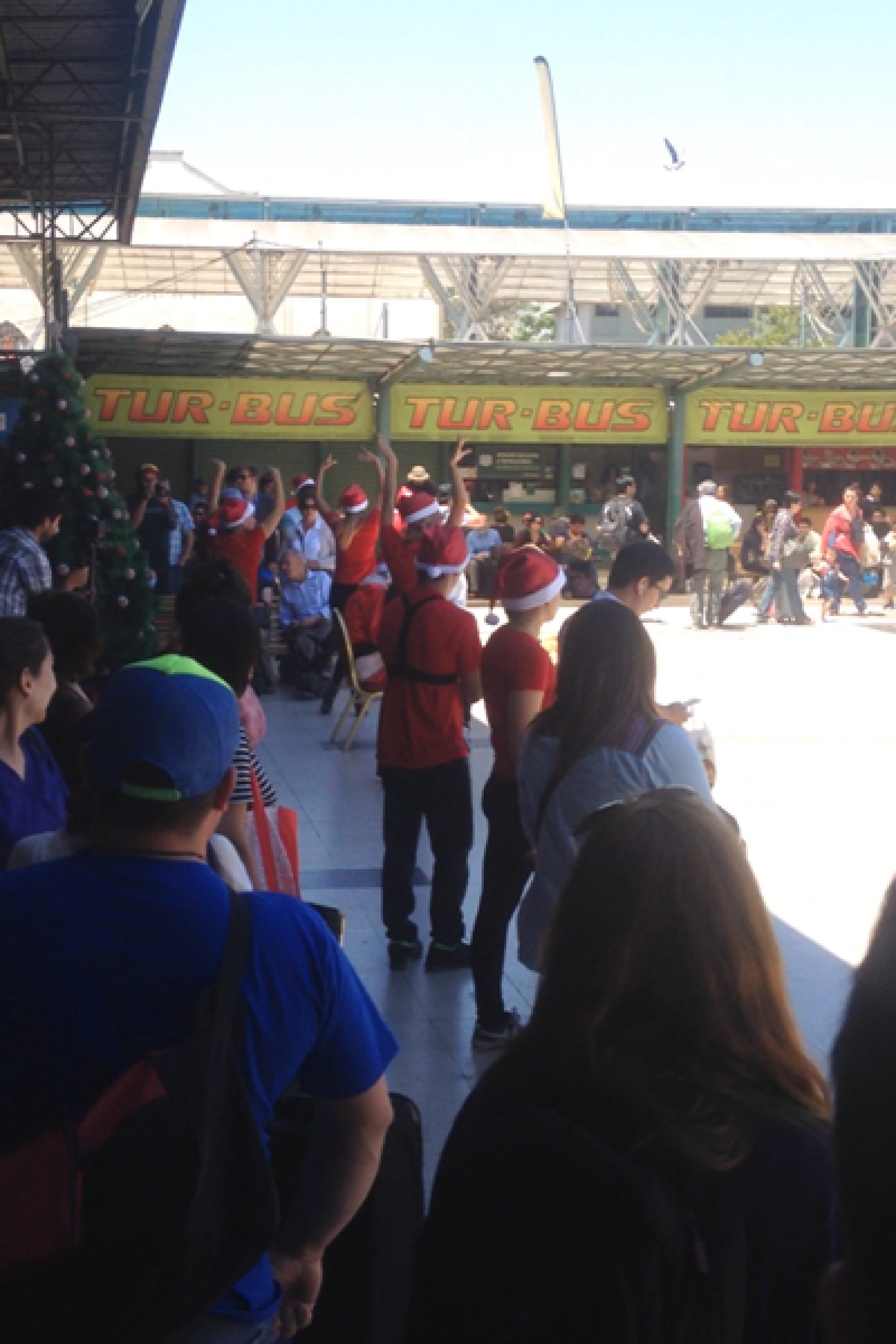 Turbus_Flashmob “Navidad”_7